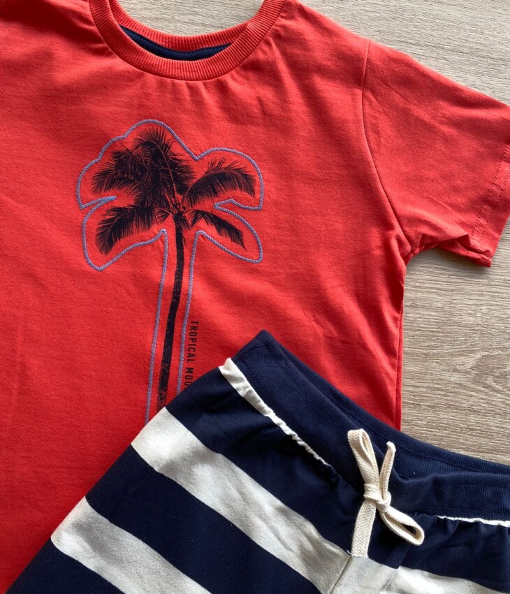 fernandaramoskids com br Conjunto Infantil Masculino Camiseta Vermelha e Bermuda Listrada 1
