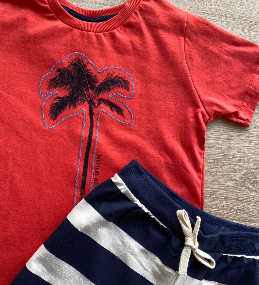 fernandaramoskids com br Conjunto Infantil Masculino Camiseta Vermelha e Bermuda Listrada 1