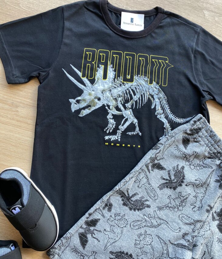 fernandaramoskids com br Conjunto Infantil Masculino Dinossauros Camiseta Preta e Bermuda Cinza 1