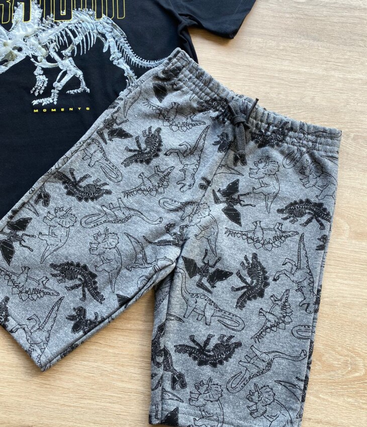 fernandaramoskids com br Conjunto Infantil Masculino Dinossauros Camiseta Preta e Bermuda Cinza 2