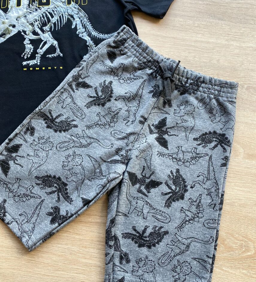 fernandaramoskids com br Conjunto Infantil Masculino Dinossauros Camiseta Preta e Bermuda Cinza 2