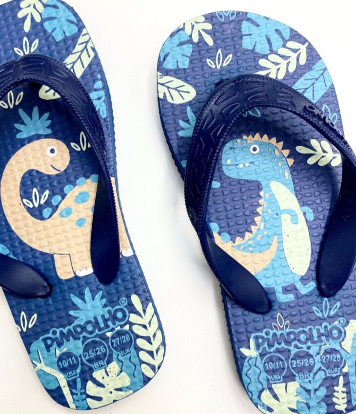 fernandaramoskids com br Chinelo Infantil Masculino Pimpolho Estampa Dinossauros Azul 1
