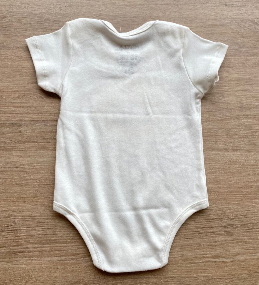 fernandaramoskids com br Conjunto Infantil Masculino Body Estampa Leão e Short Azul 3