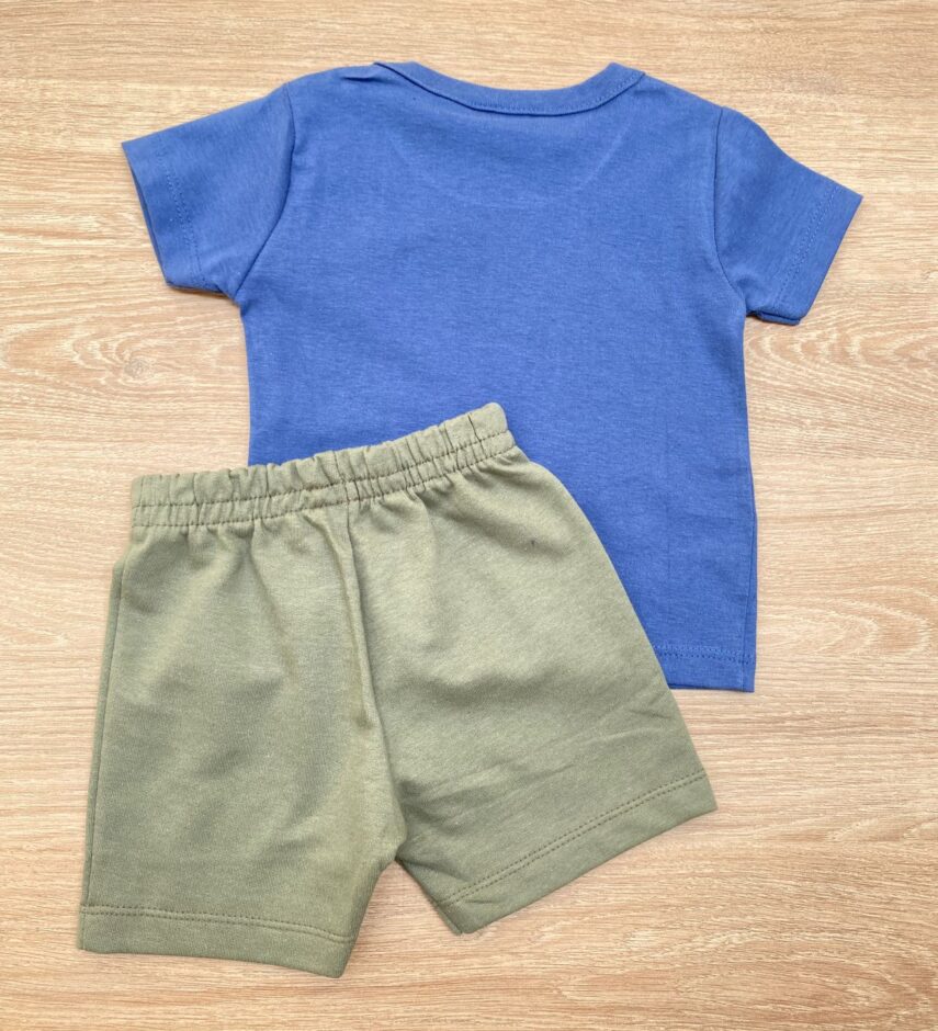 fernandaramoskids com br Conjunto Infantil Masculino Camiseta Dinossauros Azul e Bermuda Verde 2