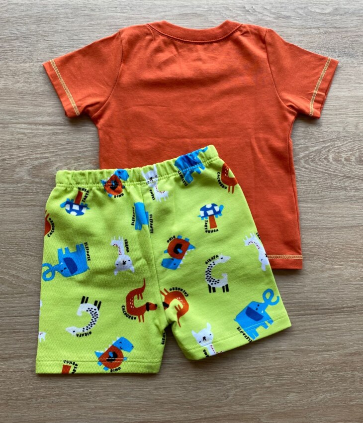 fernandaramoskids com br Conjunto Infantil Masculino Camiseta Laranja e Bermuda Estampada Verde 2