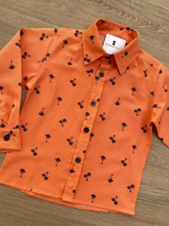 fernandaramoskids com br Camisa Infantil Masculina Manga Longa Estampada Laranja 1