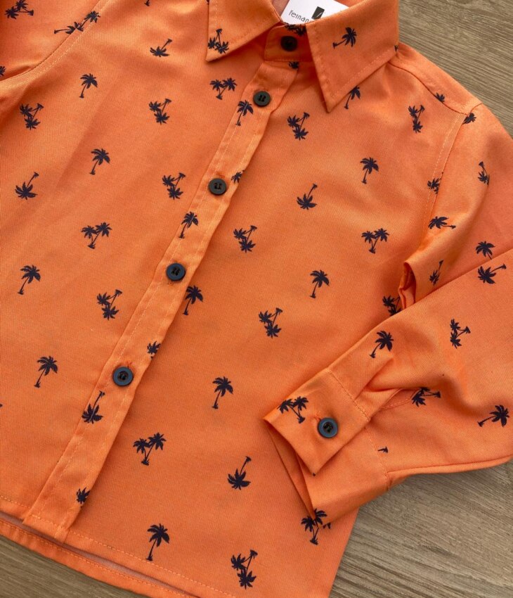 fernandaramoskids com br Camisa Infantil Masculina Manga Longa Estampada Laranja 2