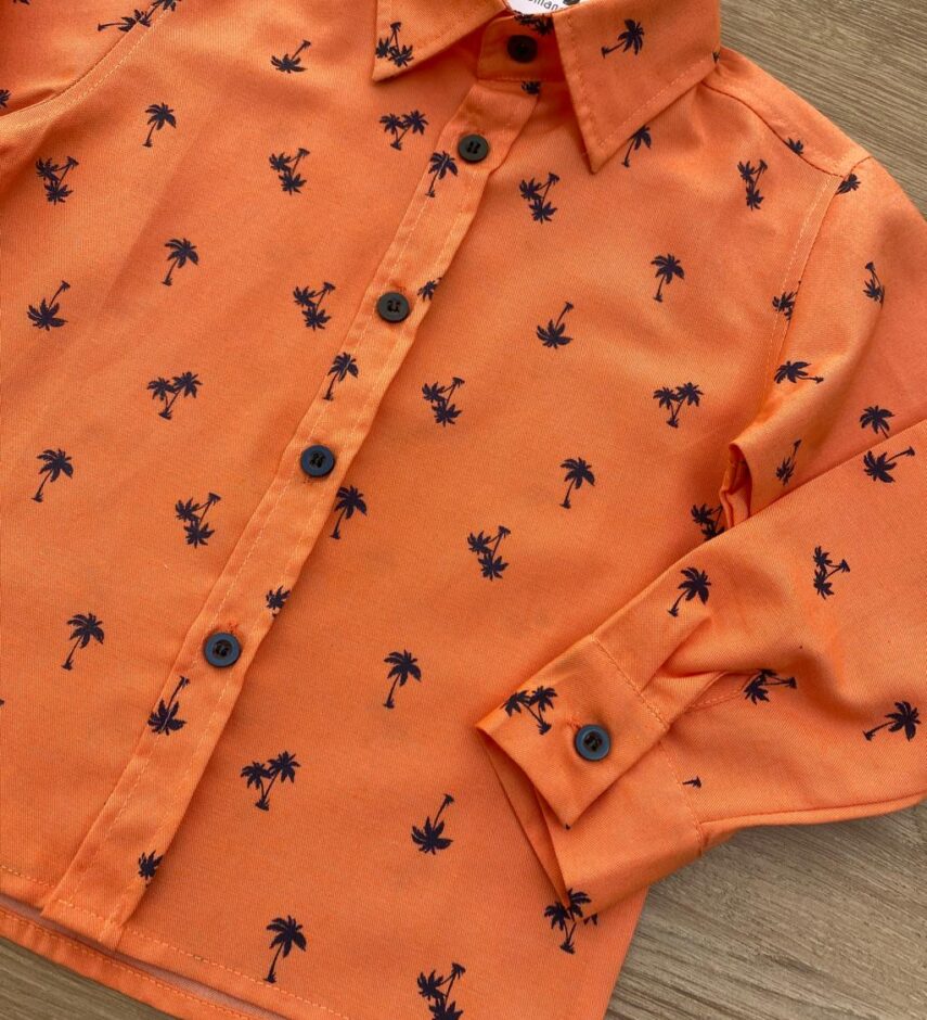 fernandaramoskids com br Camisa Infantil Masculina Manga Longa Estampada Laranja 2