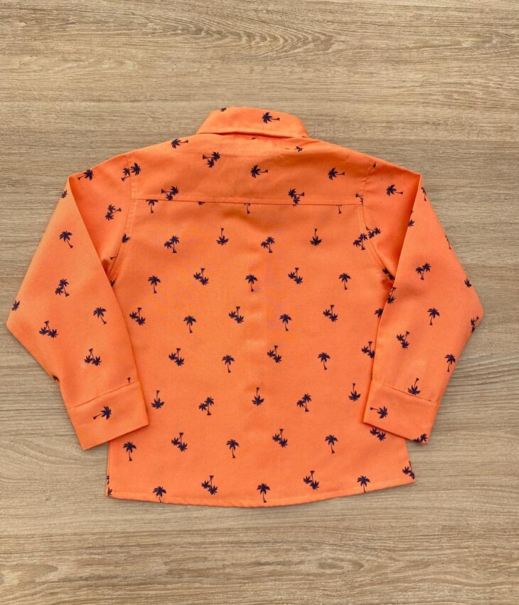 fernandaramoskids com br Camisa Infantil Masculina Manga Longa Estampada Laranja 3