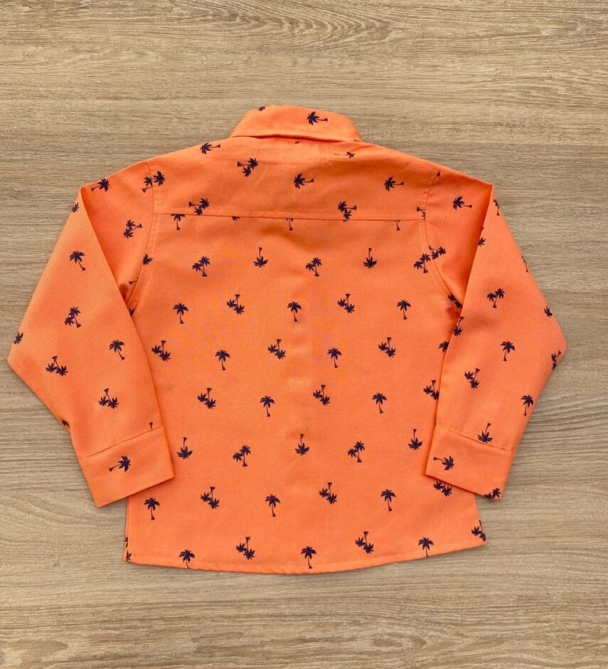 fernandaramoskids com br Camisa Infantil Masculina Manga Longa Estampada Laranja 3