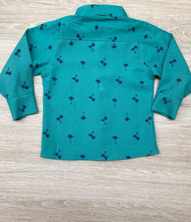 fernandaramoskids com br Camisa Infantil Masculina Manga Longa Estampada Verde 2