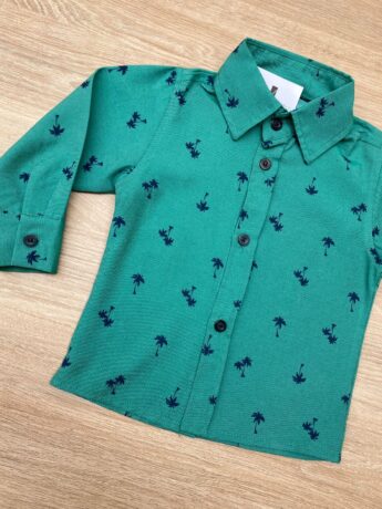 fernandaramoskids com br Camisa Infantil Masculina Manga Longa Estampada Verde 1
