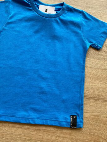 fernandaramoskids com br Camiseta Infantil Masculina Básica Azul Cobalto 1