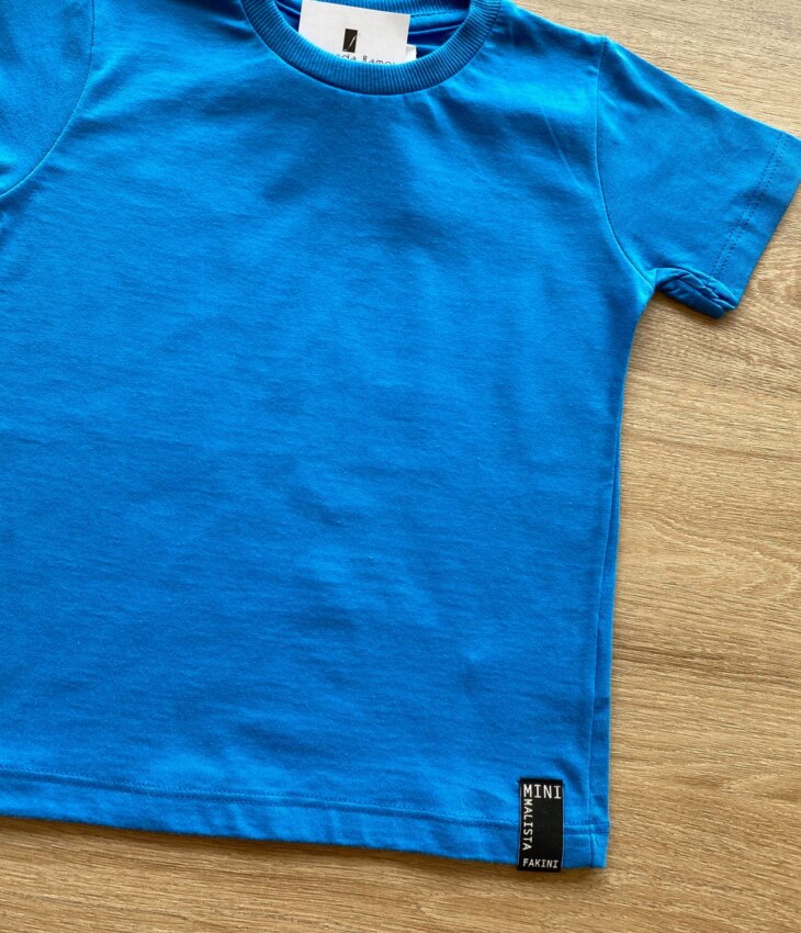 fernandaramoskids com br Camiseta Infantil Masculina Básica Azul Cobalto 1