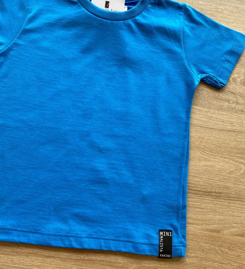 fernandaramoskids com br Camiseta Infantil Masculina Básica Azul Cobalto 1