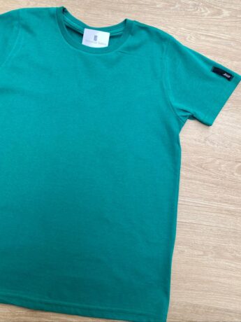 fernandaramoskids com br Camiseta Infantil Masculina Básica Verde 1
