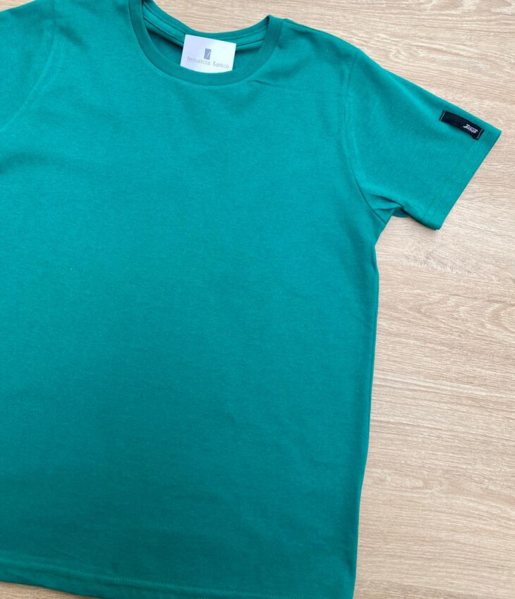 fernandaramoskids com br Camiseta Infantil Masculina Básica Verde 1