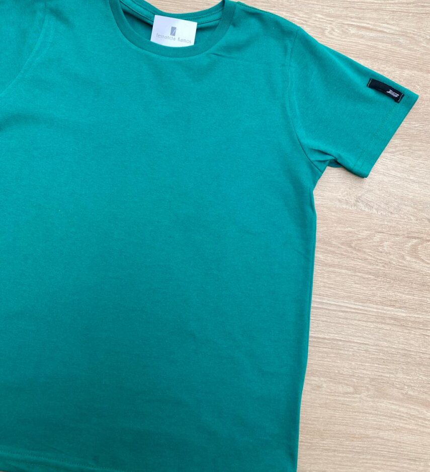 fernandaramoskids com br Camiseta Infantil Masculina Básica Verde 1
