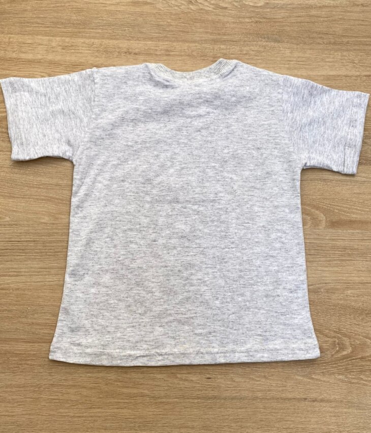 fernandaramoskids com br Camiseta Infantil Masculina Cinza com Estampa Laranja 2