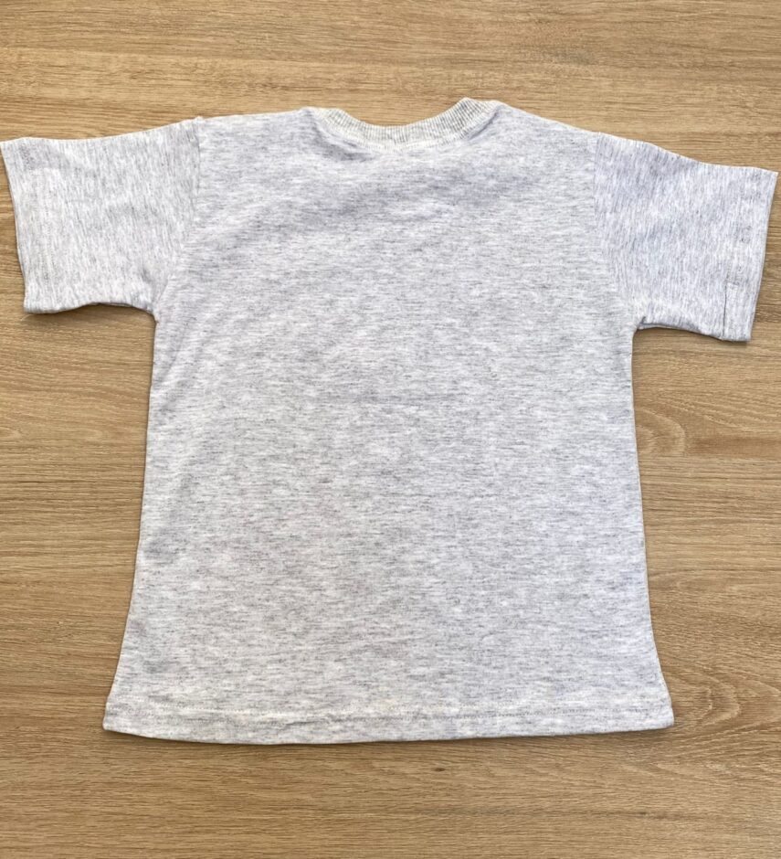 fernandaramoskids com br Camiseta Infantil Masculina Cinza com Estampa Laranja 2