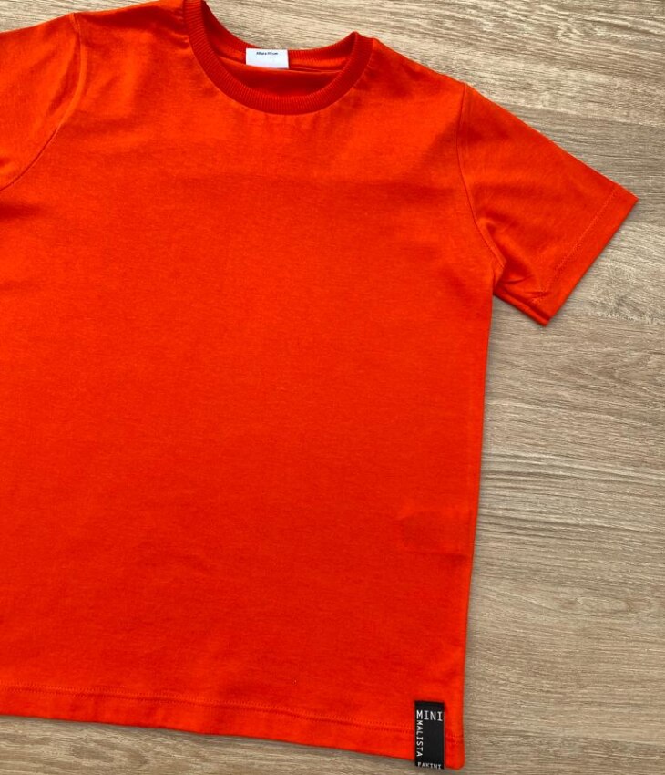 fernandaramoskids com br Camiseta Infantil Masculina Laranja Vibrante 1