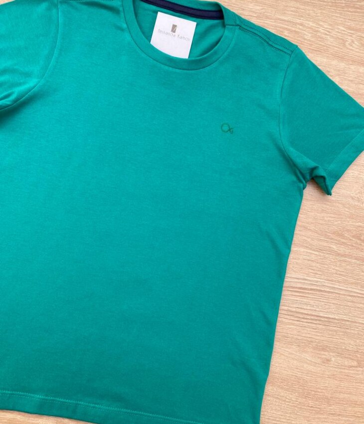 fernandaramoskids com br Camiseta Infantil Masculina Ogochi Essencial Verde 1
