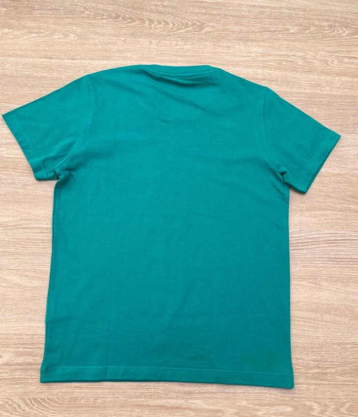 fernandaramoskids com br Camiseta Infantil Masculina Ogochi Essencial Verde 2