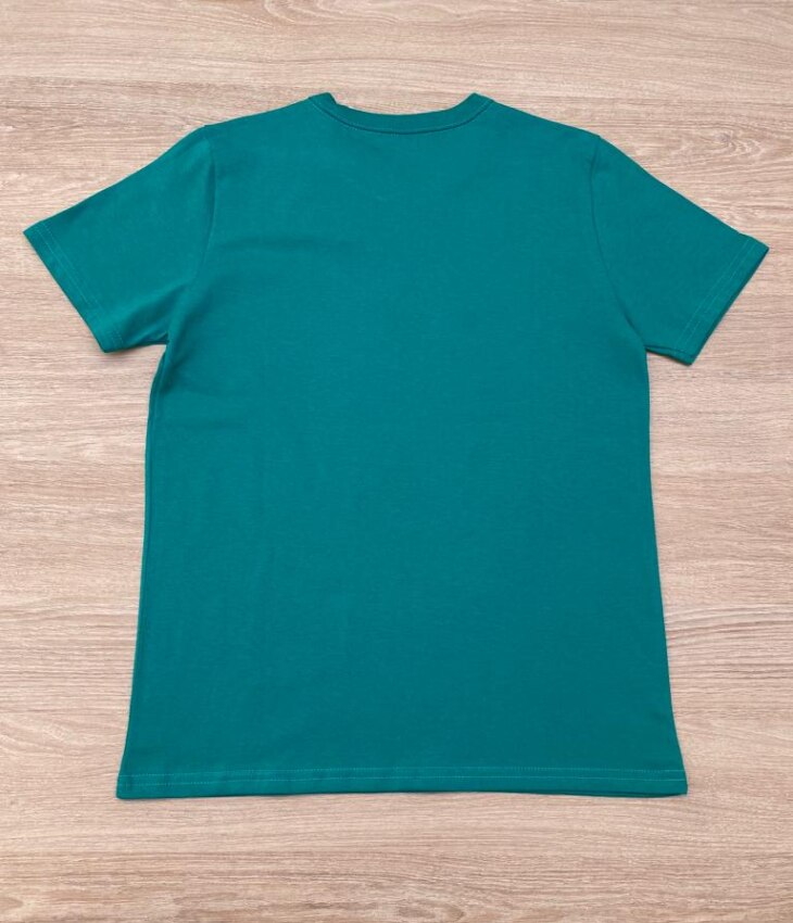 fernandaramoskids com br Camiseta Infantil Masculina Tradicional Verde 2