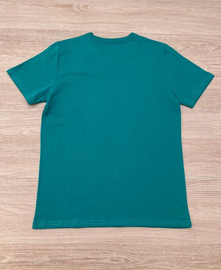 fernandaramoskids com br Camiseta Infantil Masculina Tradicional Verde 2
