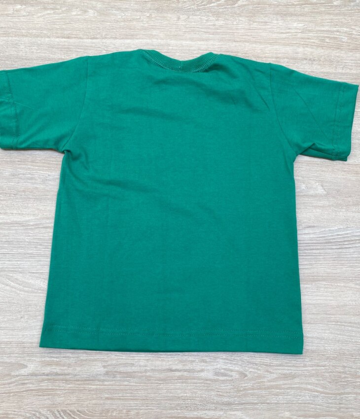 fernandaramoskids com br Camiseta Infantil Masculina Verde com Estampa Preta 2