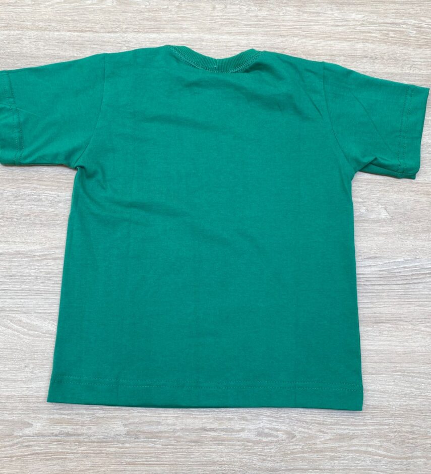 fernandaramoskids com br Camiseta Infantil Masculina Verde com Estampa Preta 2