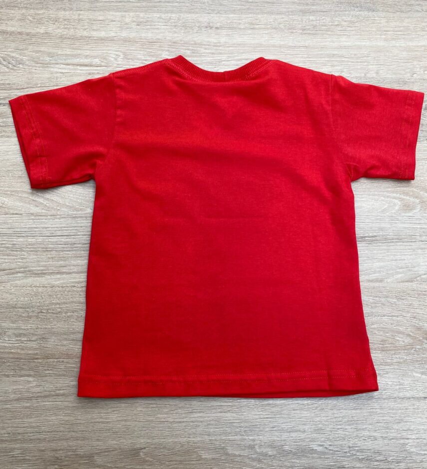 fernandaramoskids com br Camiseta Infantil Masculina Vermelha Básica com Estampa 2