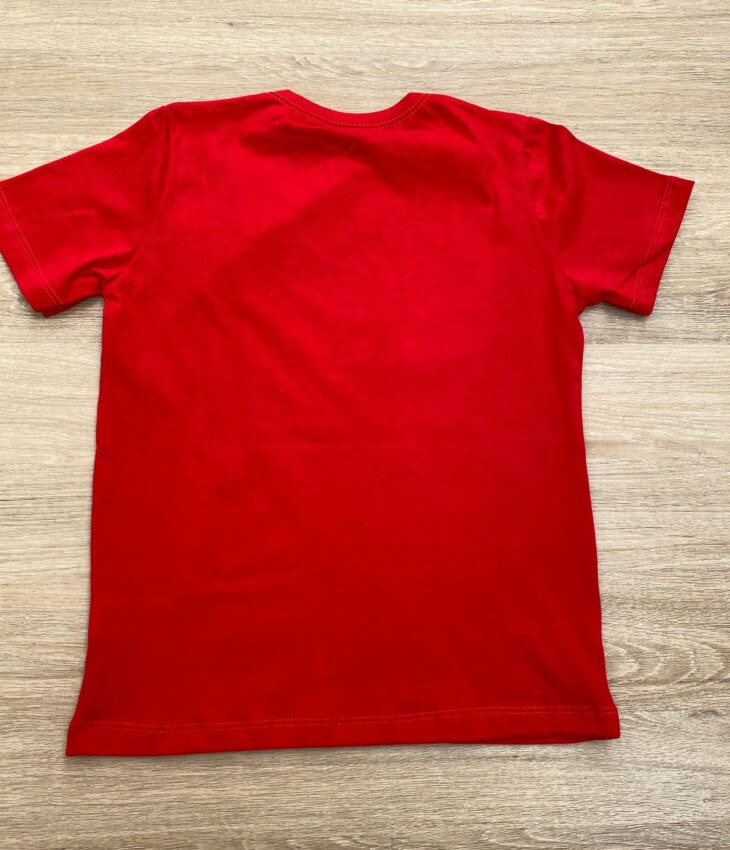 fernandaramoskids com br Camiseta Infantil Masculina Vermelha com Estampa Spidey 2