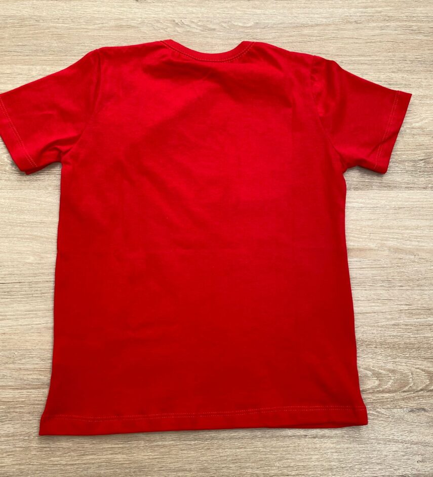fernandaramoskids com br Camiseta Infantil Masculina Vermelha com Estampa Spidey 2