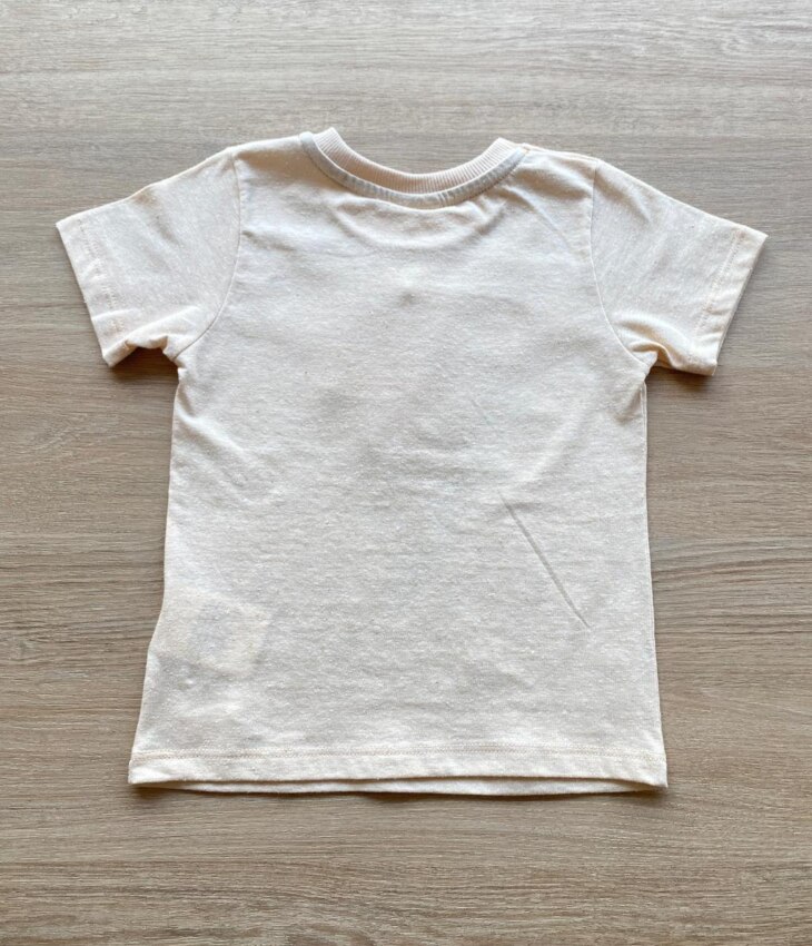 fernandaramoskids com br Camiseta Manga Curta Infantil Masculina Bege Estampada 2