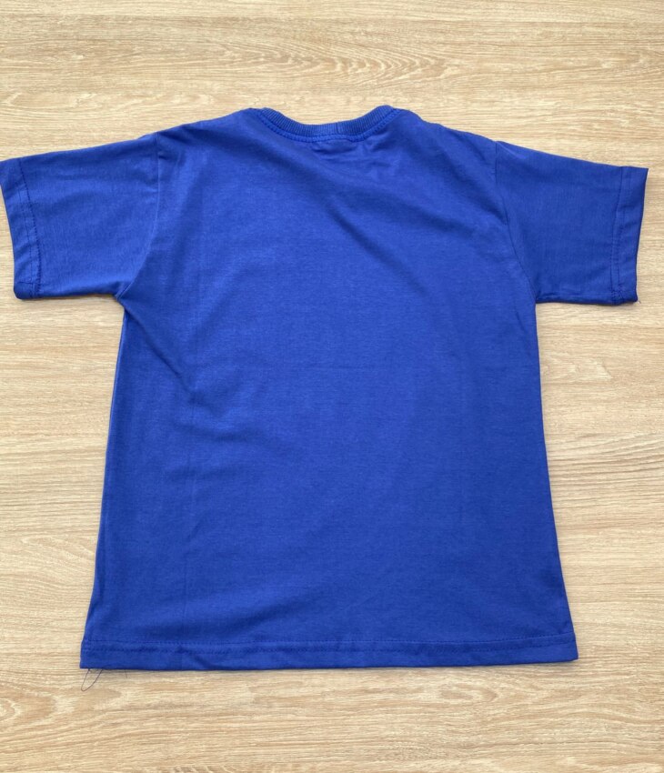 fernandaramoskids com br Camiseta Manga Curta Infantil Masculina com Estampa Azul 2