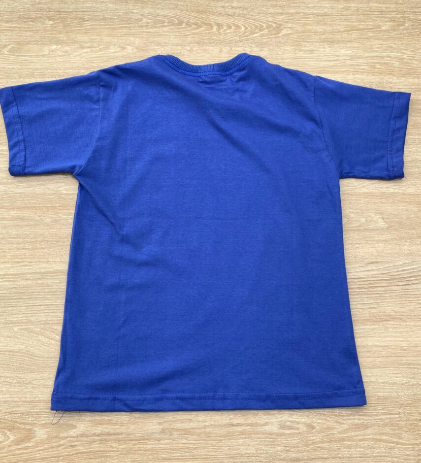 fernandaramoskids com br Camiseta Manga Curta Infantil Masculina com Estampa Azul 2