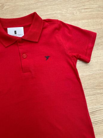 fernandaramoskids com br Camiseta Polo Infantil Masculina Cor Vermelha 1
