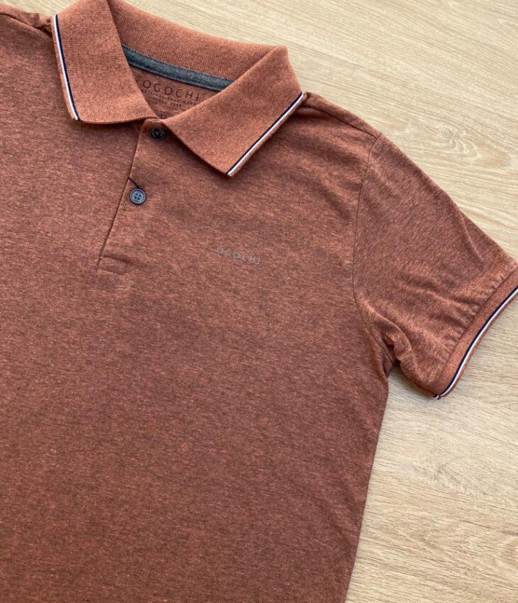 fernandaramoskids com br Camiseta Polo Infantil Masculina Ogochi Casual Slim Terra 1