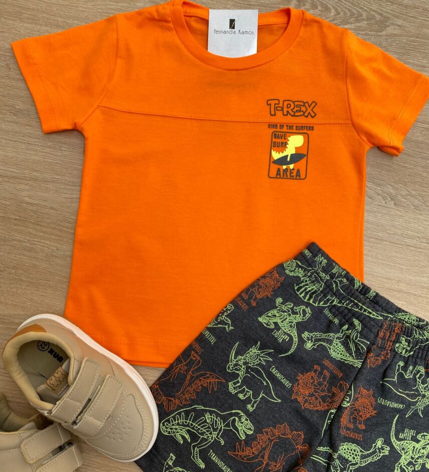 fernandaramoskids com br Conjunto Infantil Masculino Camiseta Tangerina e Bermuda Estampada 1