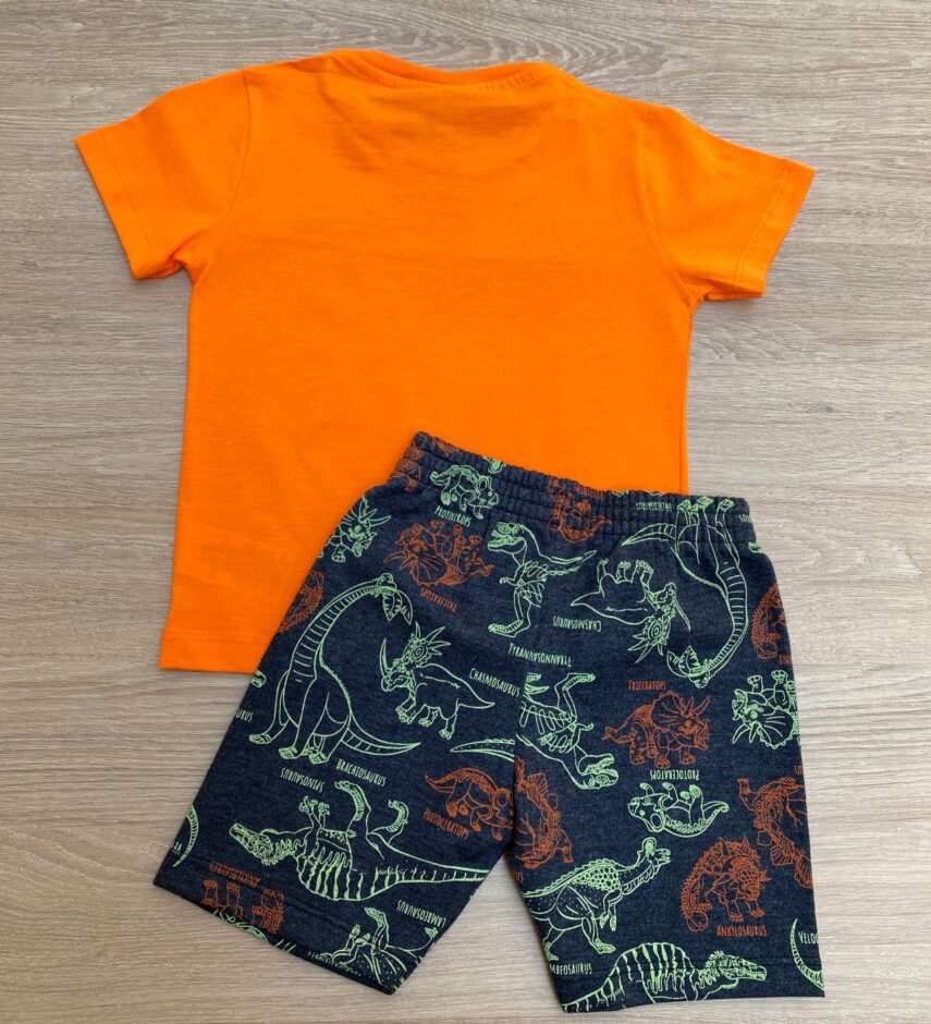 fernandaramoskids com br Conjunto Infantil Masculino Camiseta Tangerina e Bermuda Estampada 3