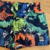 fernandaramoskids com br Bermuda Infantil Masculina Azul Estampada com Dinossauros1