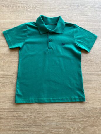 fernandaramoskids com br Camiseta Gola Polo Masculina Infantil Manga Curta Verde1