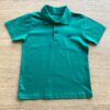 Camiseta Gola Polo Masculina Infantil Manga Curta Verde Fernanda Ramos Kids