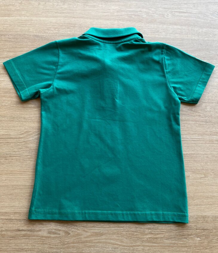 fernandaramoskids com br Camiseta Gola Polo Masculina Infantil Manga Curta Verde3