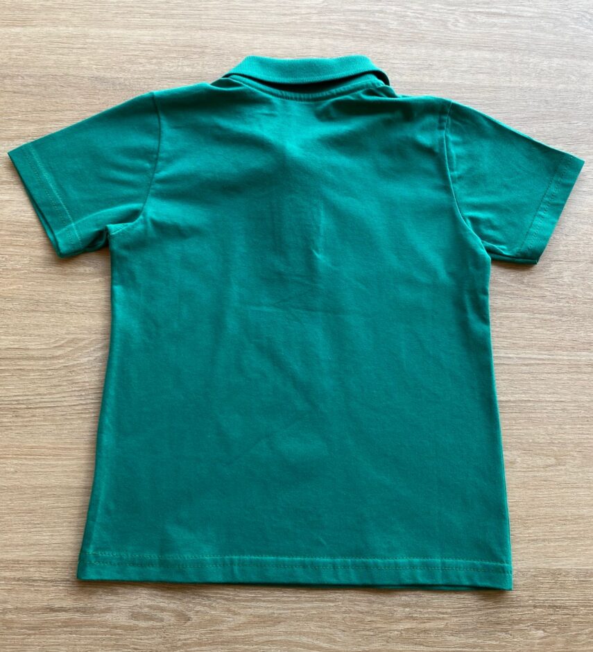 fernandaramoskids com br Camiseta Gola Polo Masculina Infantil Manga Curta Verde3