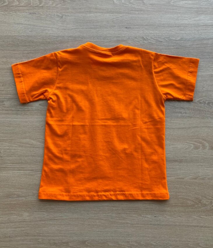 fernandaramoskids com br Camiseta Infantil Masculina Laranja com Estampa2