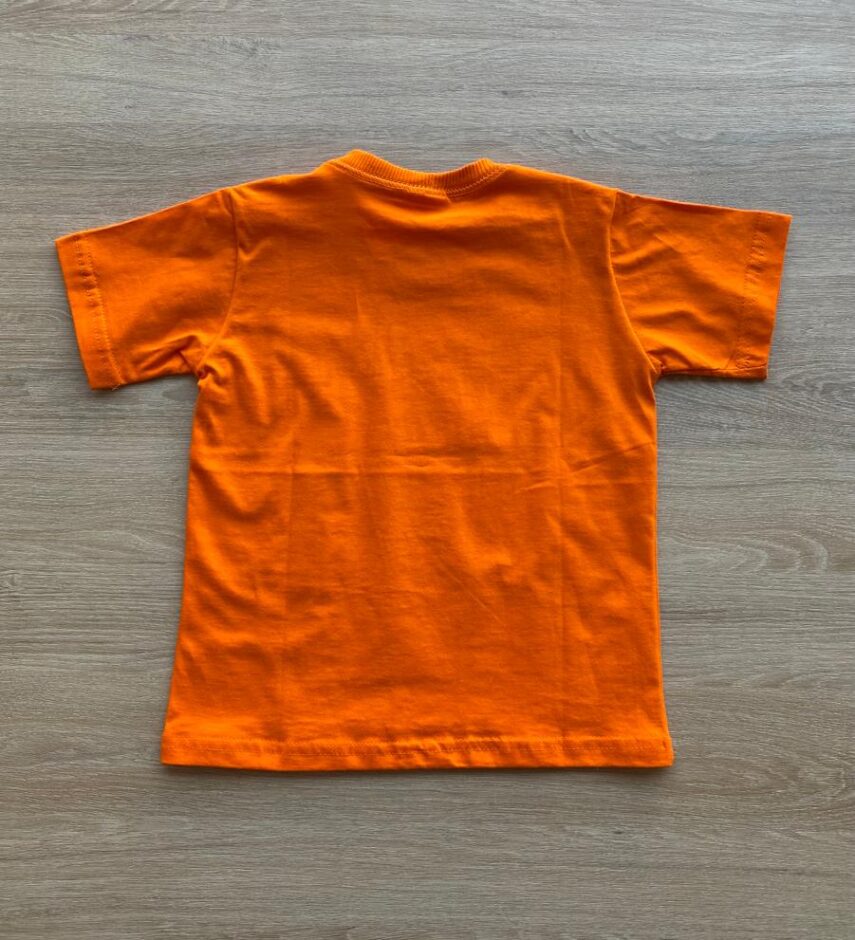 fernandaramoskids com br Camiseta Infantil Masculina Laranja com Estampa2