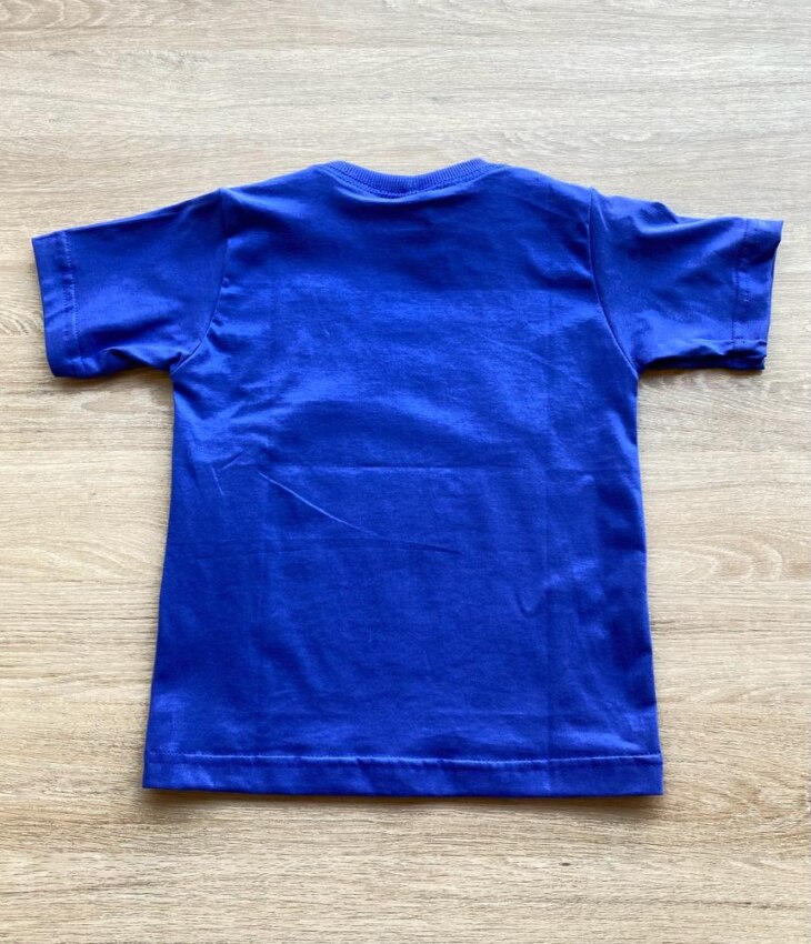 fernandaramoskids com br Camiseta Infantil Masculina Manga Curta Azul Bic com Estampa2