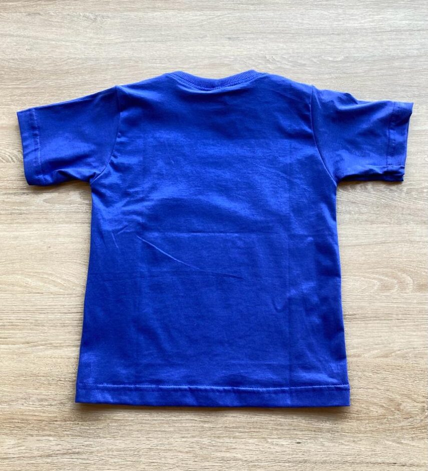 fernandaramoskids com br Camiseta Infantil Masculina Manga Curta Azul Bic com Estampa2